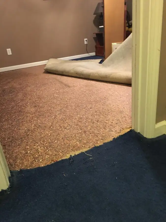 Carpet pad removal revealing water damage during Water Mitigation Services in Sparta
