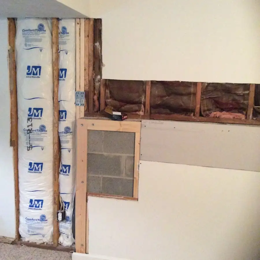 Wall insulation replacement during Odor Removal & Deodorization in Sparta
